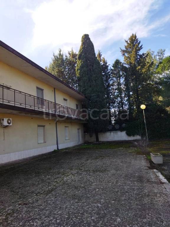 immagine annuncio 11 di 13