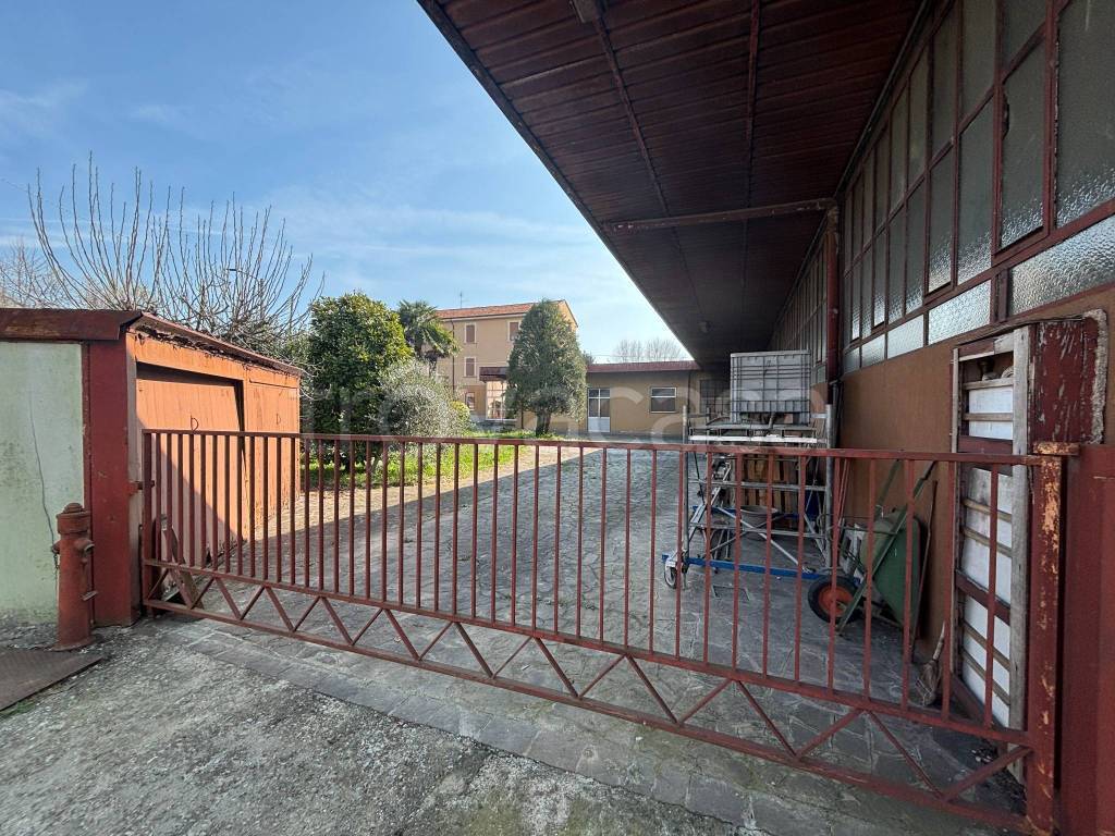 immagine annuncio 1 di 14