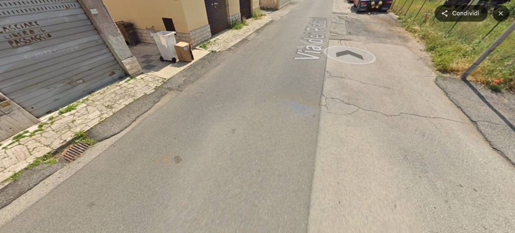 immagine annuncio 12 di 14
