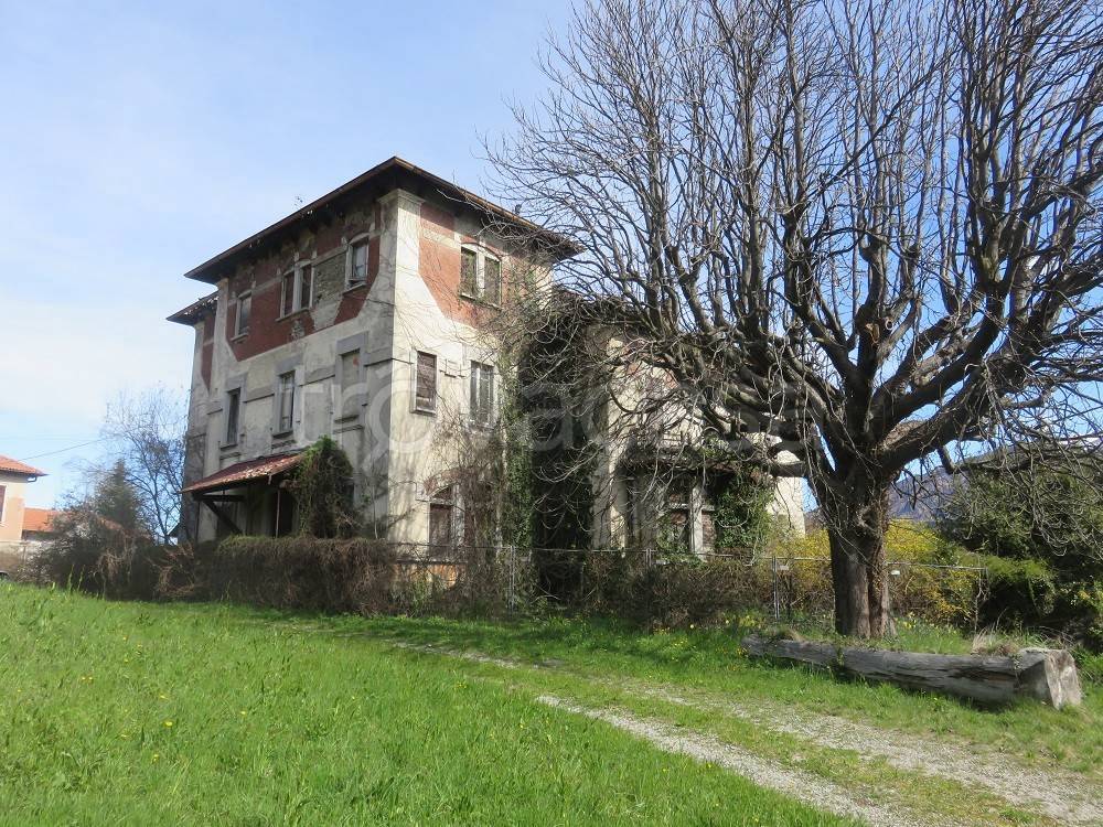immagine annuncio 3 di 14