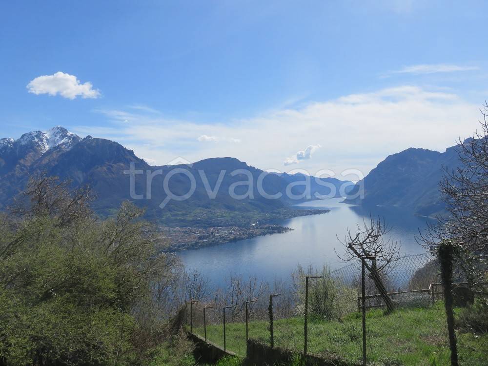 immagine annuncio 5 di 14