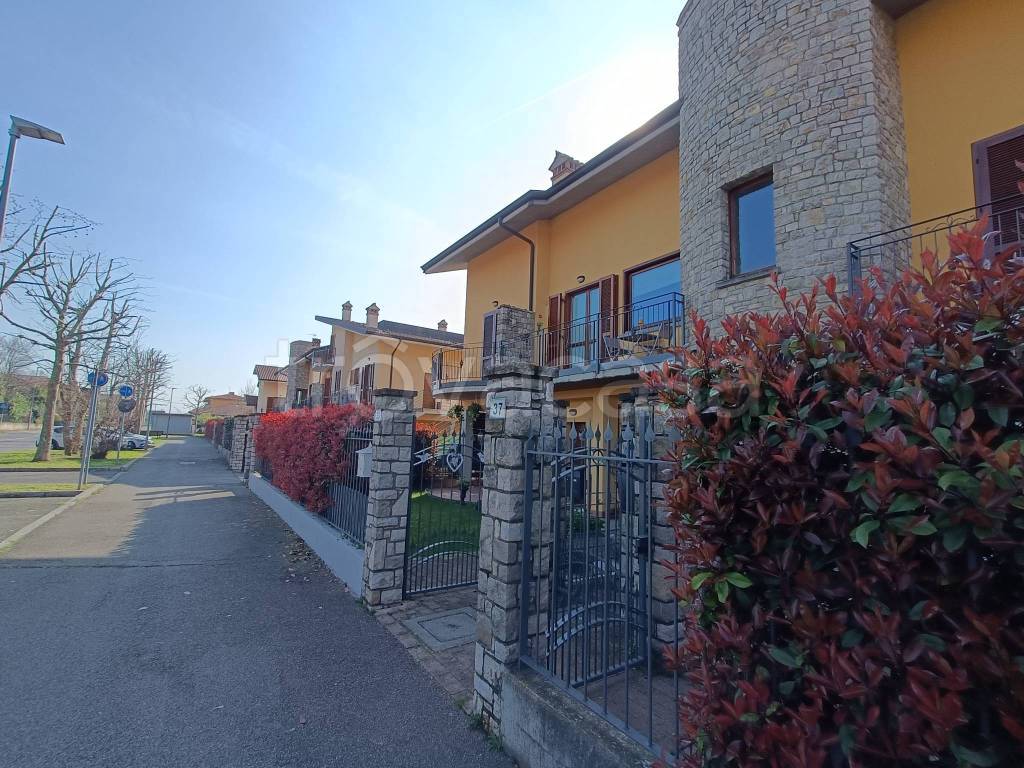 immagine annuncio 3 di 15