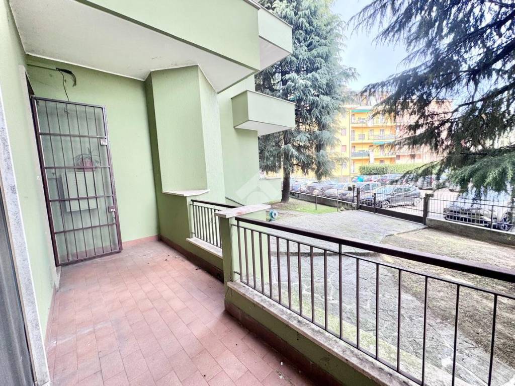 immagine annuncio 9 di 15
