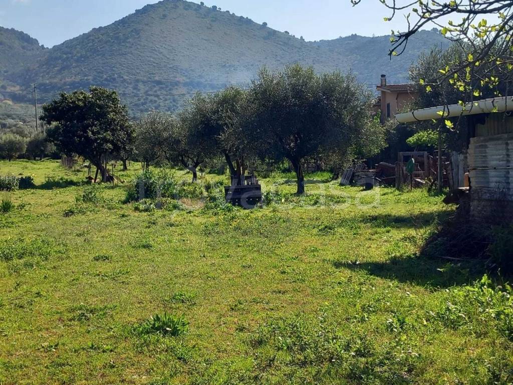 immagine annuncio 5 di 6