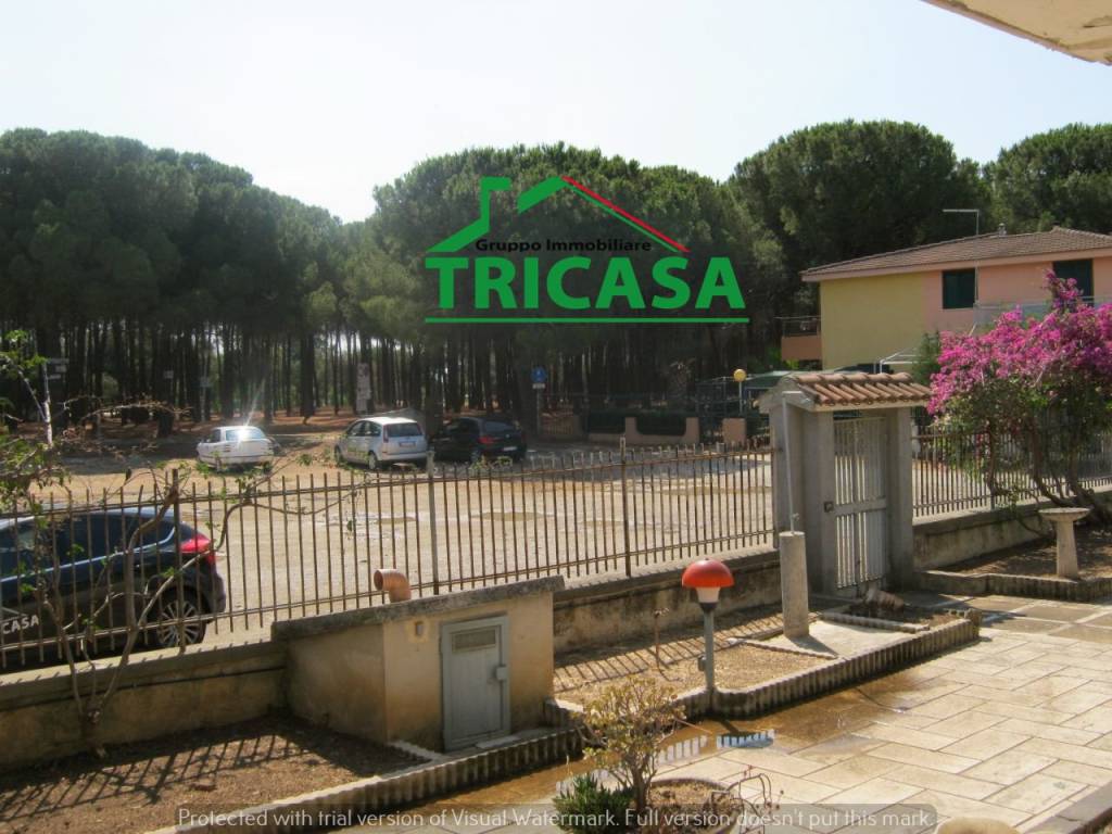 immagine annuncio 7 di 14