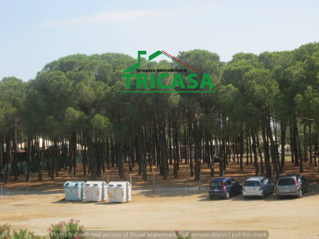 immagine annuncio 11 di 14