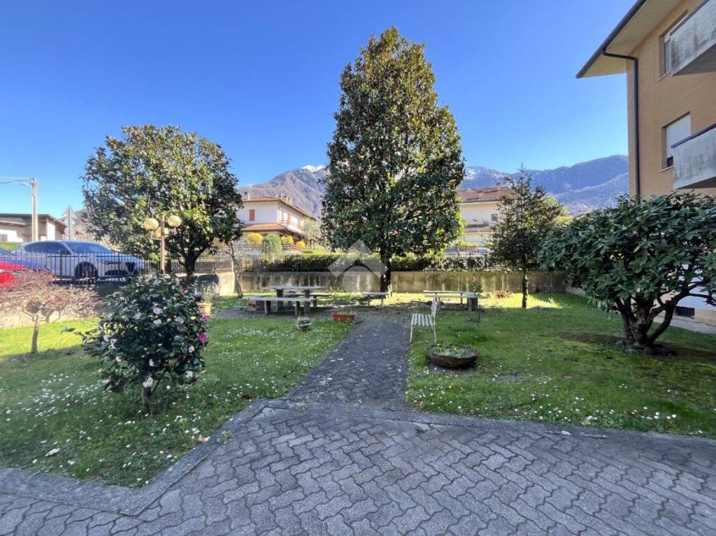 immagine annuncio 2 di 13