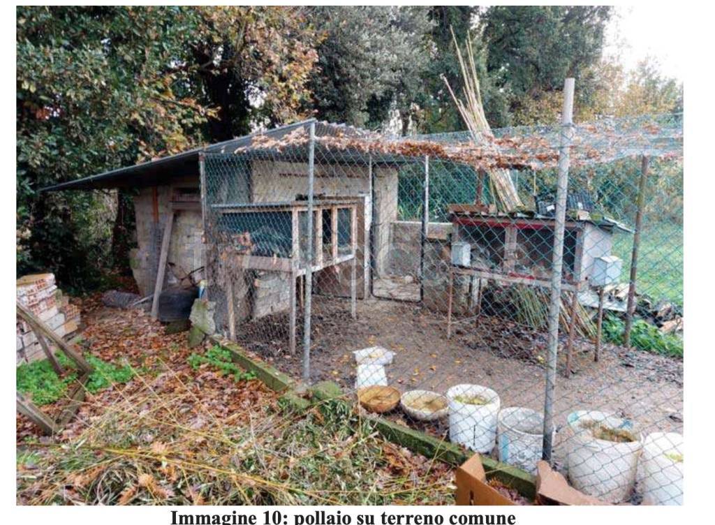 immagine annuncio 4 di 10