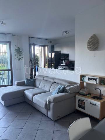 immagine annuncio 7 di 15