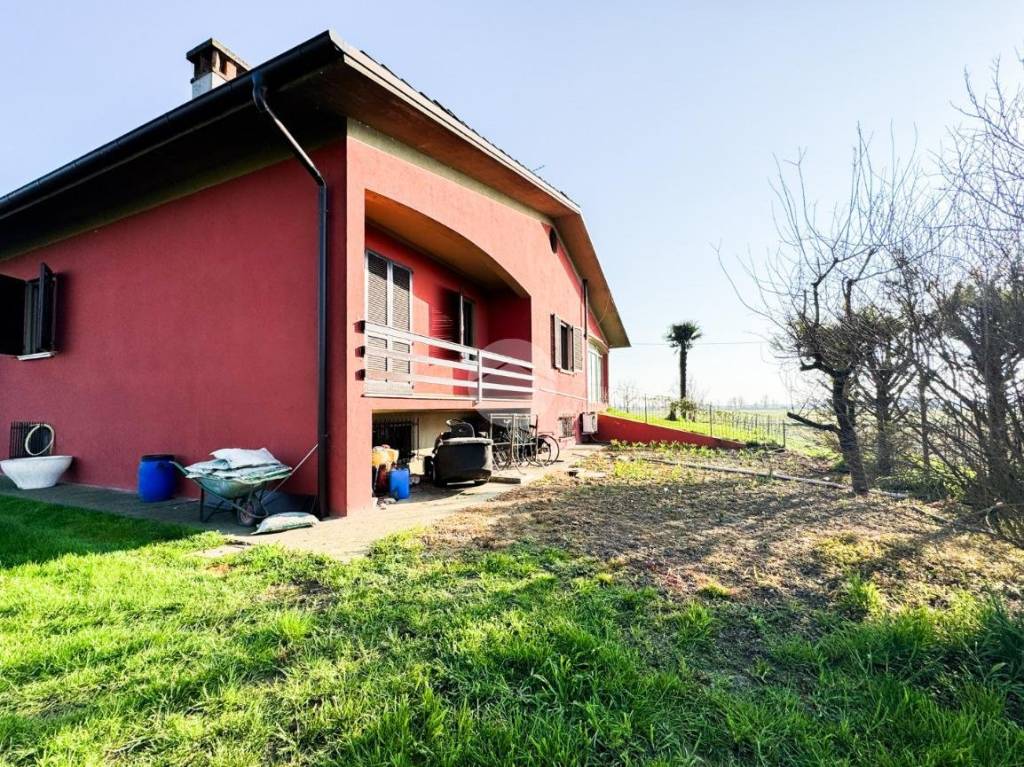 immagine annuncio 9 di 15