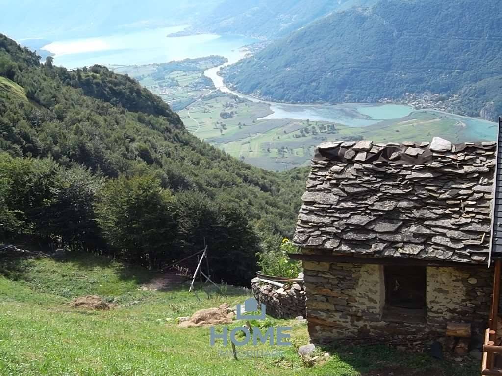 immagine annuncio 11 di 13