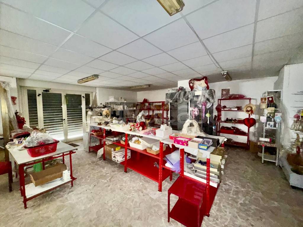 immagine annuncio 9 di 15