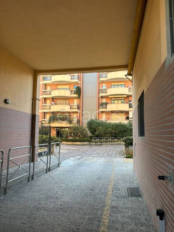 immagine annuncio 9 di 13