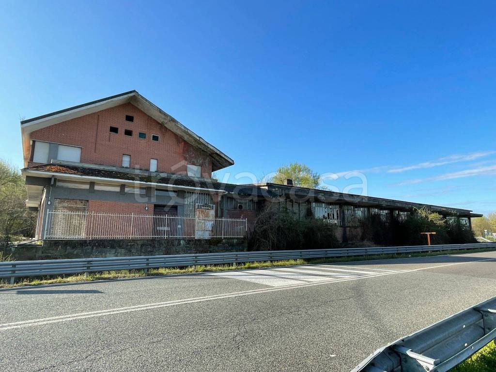 immagine annuncio 2 di 8