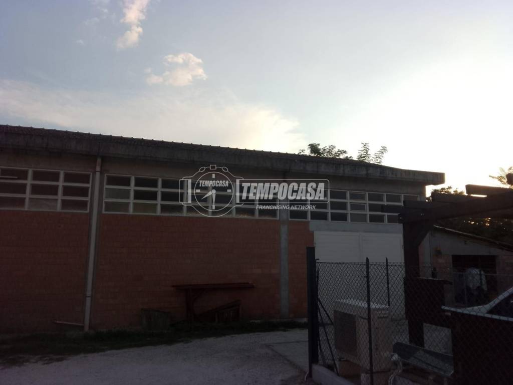 immagine annuncio 5 di 7