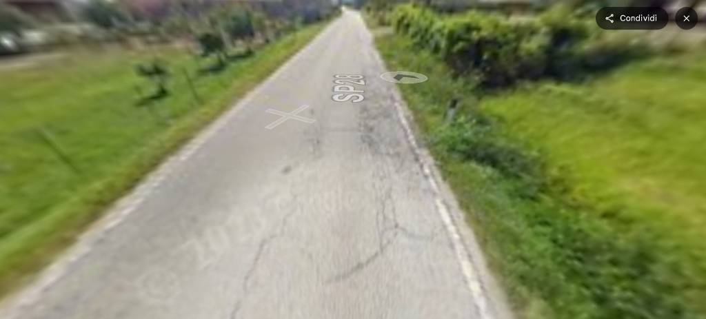 immagine annuncio 7 di 14