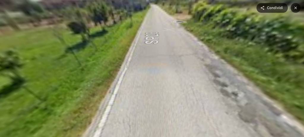 immagine annuncio 8 di 14