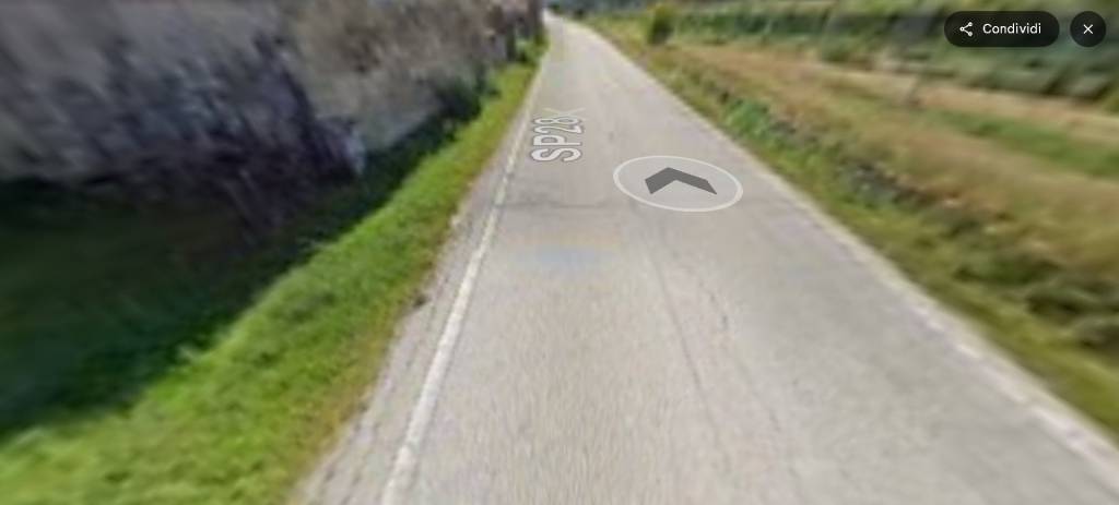 immagine annuncio 9 di 14