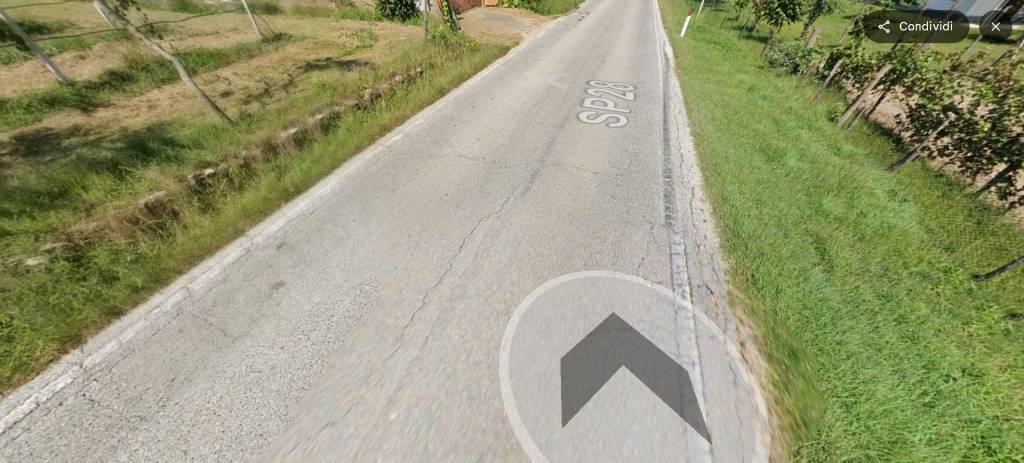 immagine annuncio 10 di 14