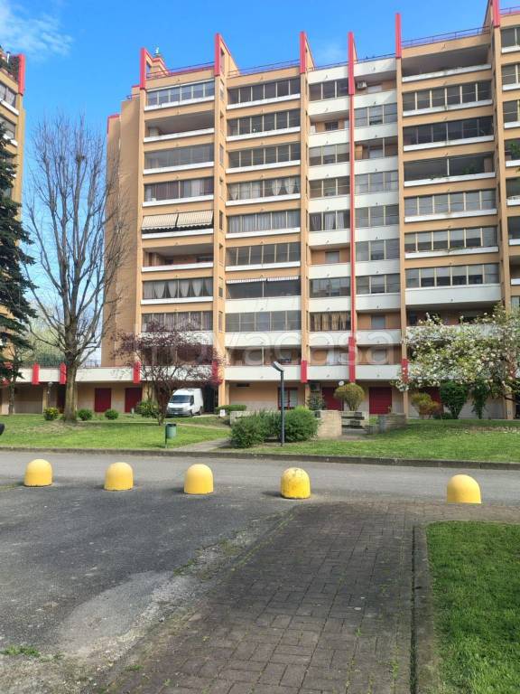 immagine annuncio 5 di 15