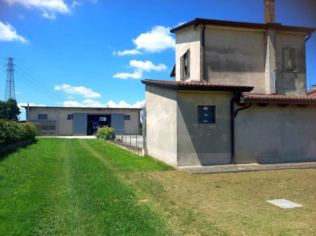 immagine annuncio 9 di 15