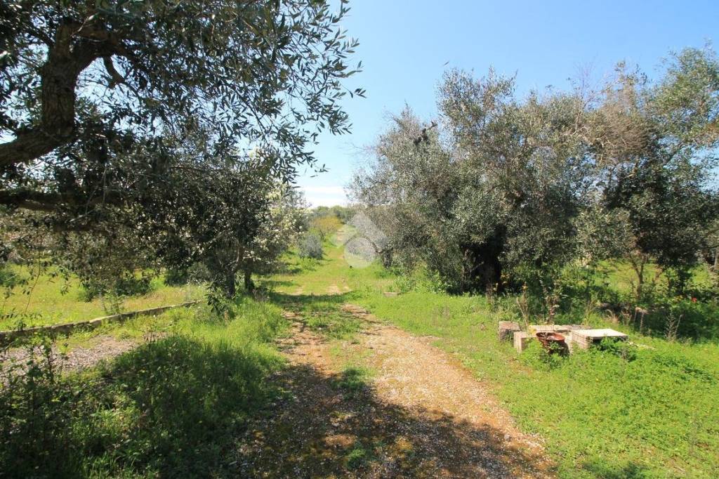 immagine annuncio 8 di 14