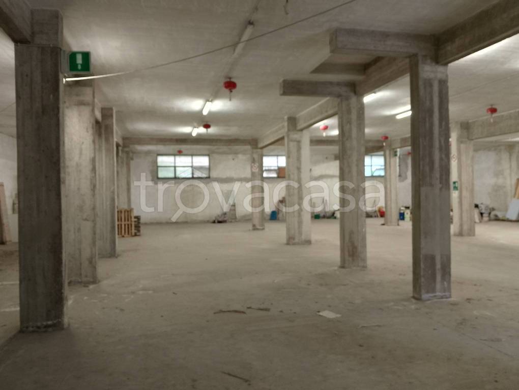 immagine annuncio 7 di 9