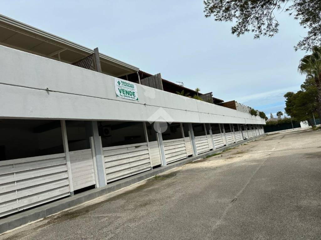 immagine annuncio 14 di 15
