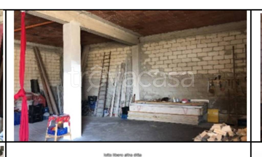 immagine annuncio 3 di 12