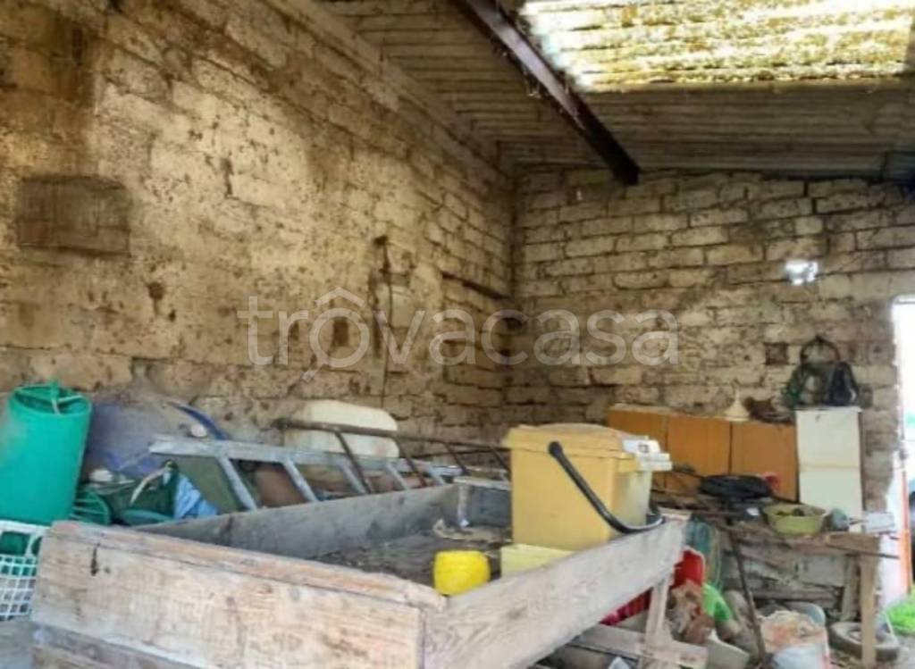 immagine annuncio 7 di 14