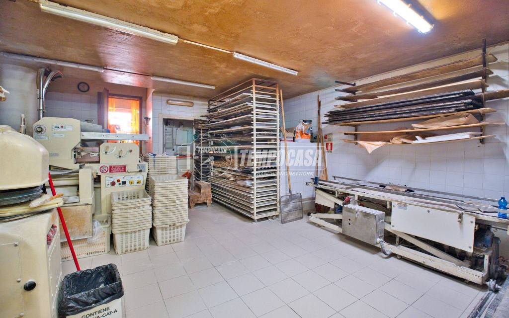 immagine annuncio 9 di 13