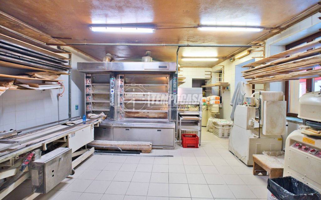immagine annuncio 10 di 13