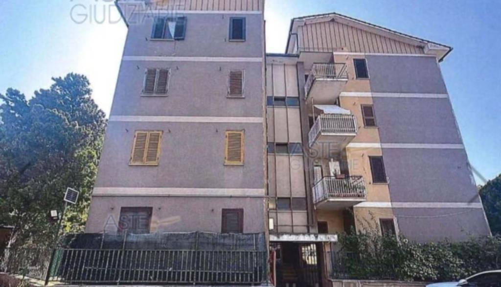 immagine annuncio 3 di 14