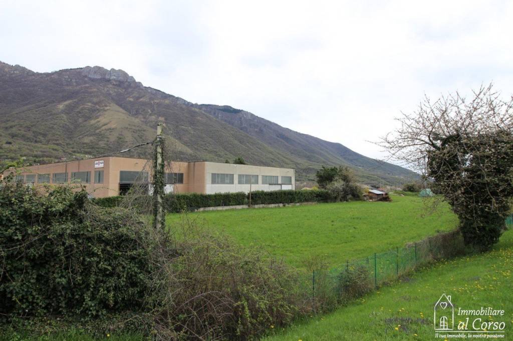 immagine annuncio 3 di 6