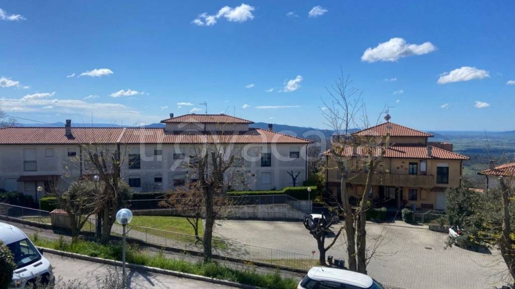 immagine annuncio 13 di 14