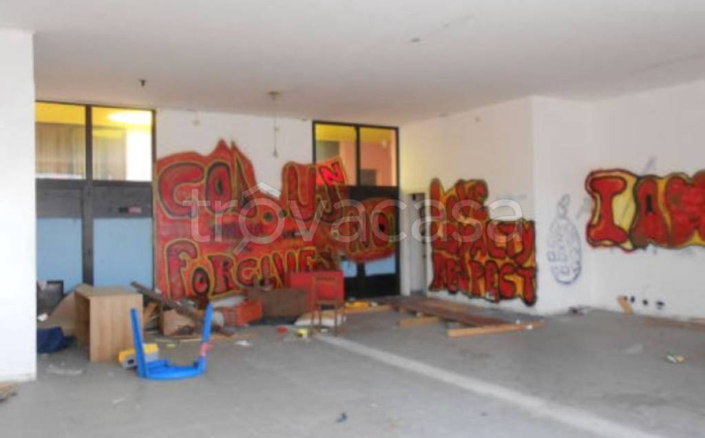 immagine annuncio 9 di 13