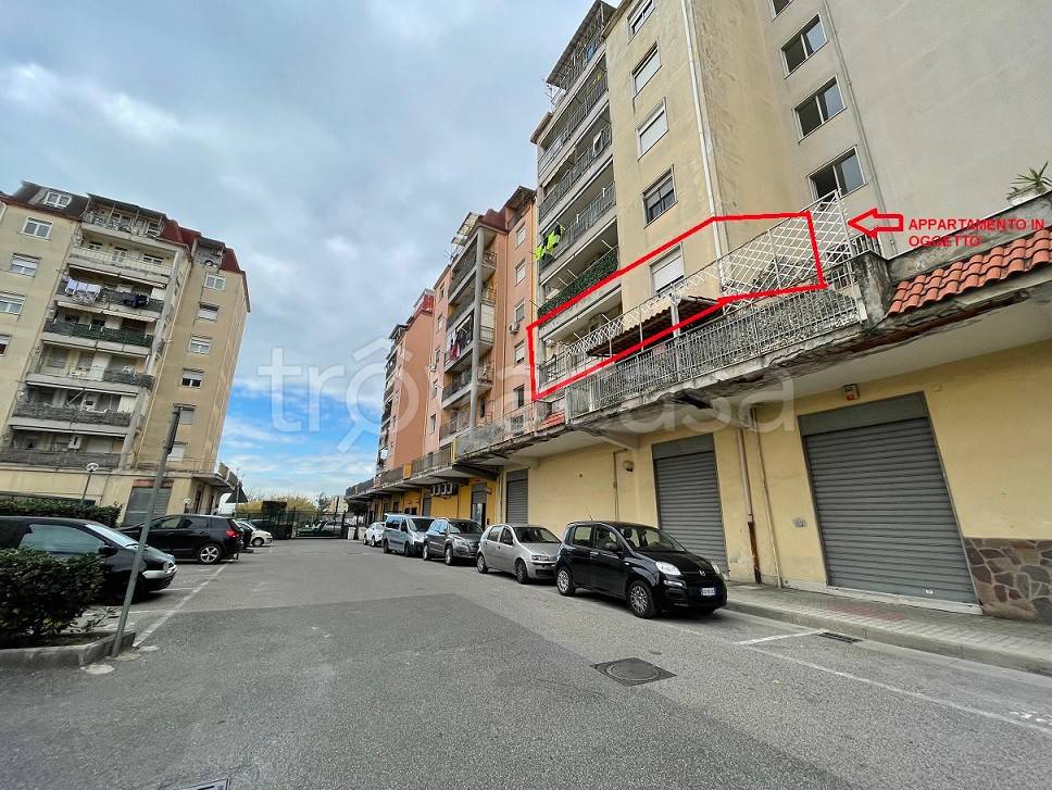 immagine annuncio 2 di 14