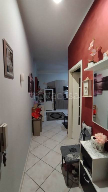 immagine annuncio 5 di 14