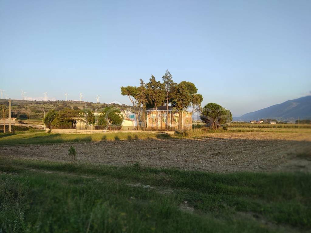 immagine annuncio 3 di 13