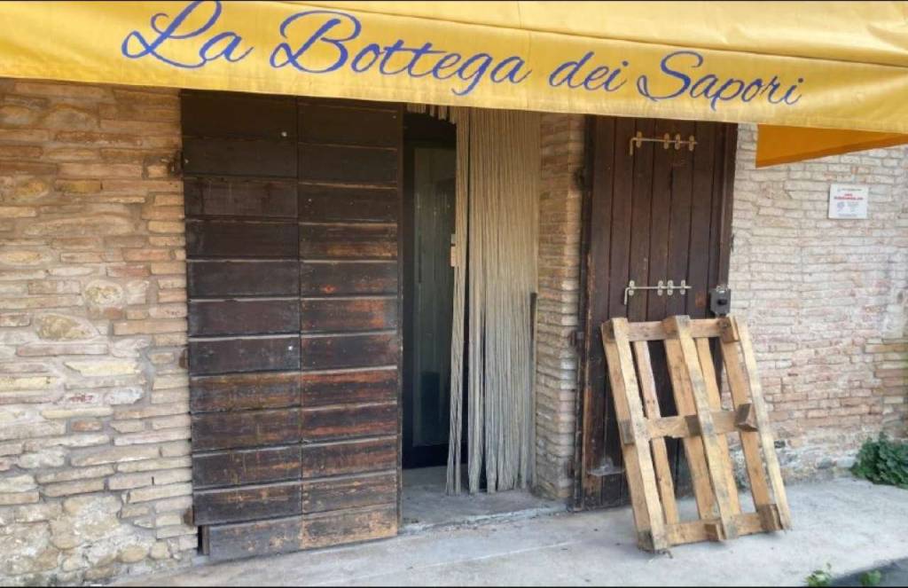 immagine annuncio 5 di 11