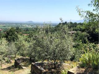 Terreno agricolo in vendita a san secondo di pinerolo via rivoira rubiani