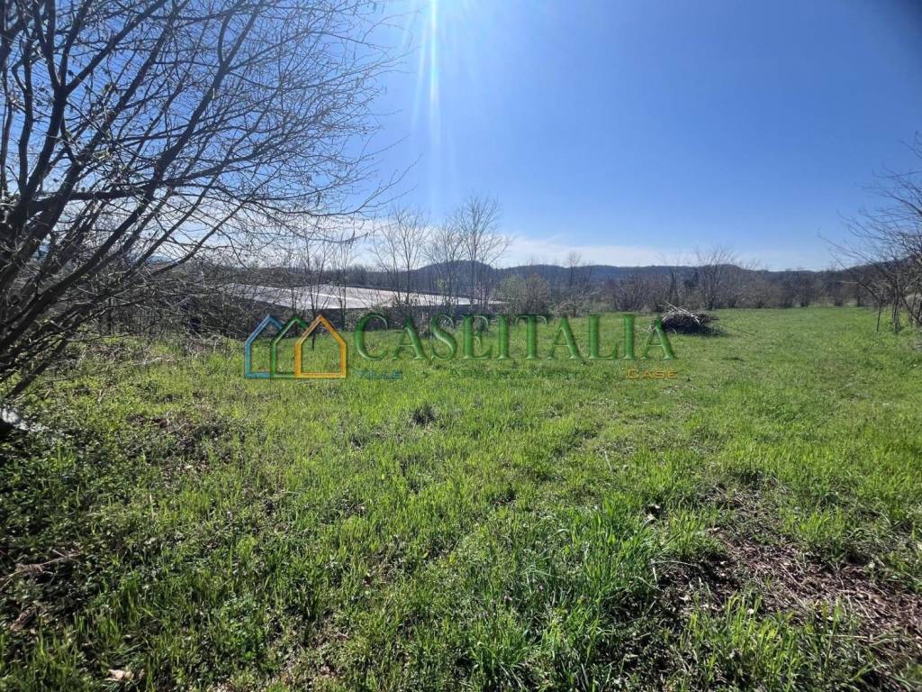 immagine annuncio 1 di 8