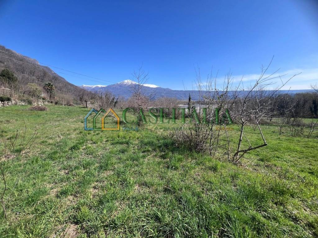 immagine annuncio 2 di 8