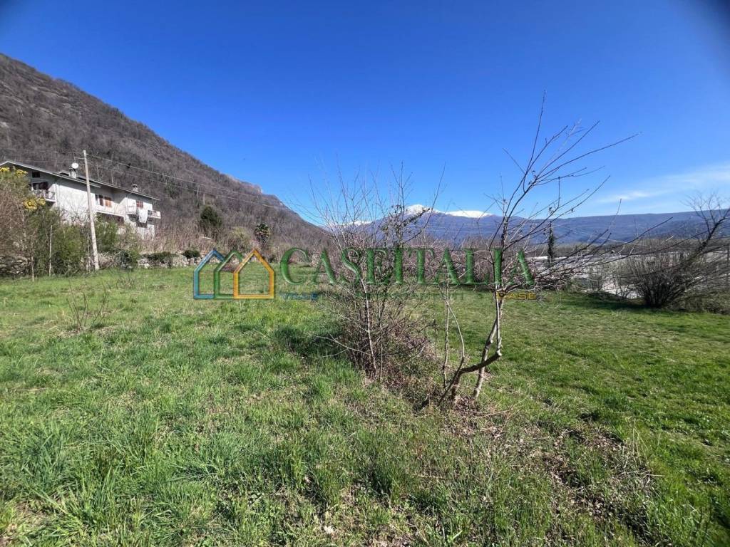 immagine annuncio 3 di 8