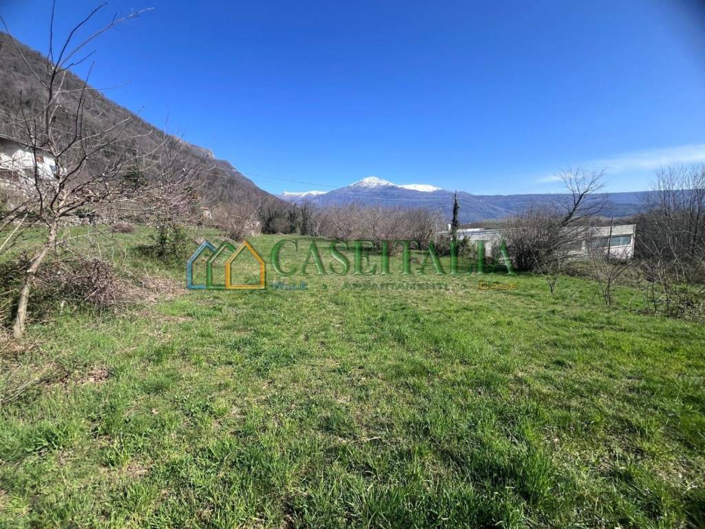 immagine annuncio 4 di 8