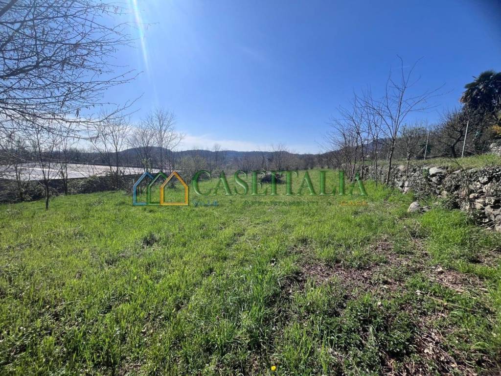 immagine annuncio 5 di 8