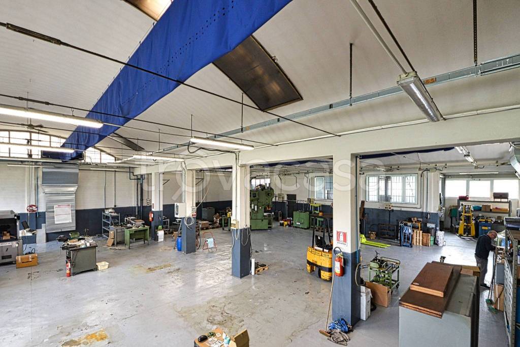 immagine annuncio 9 di 15