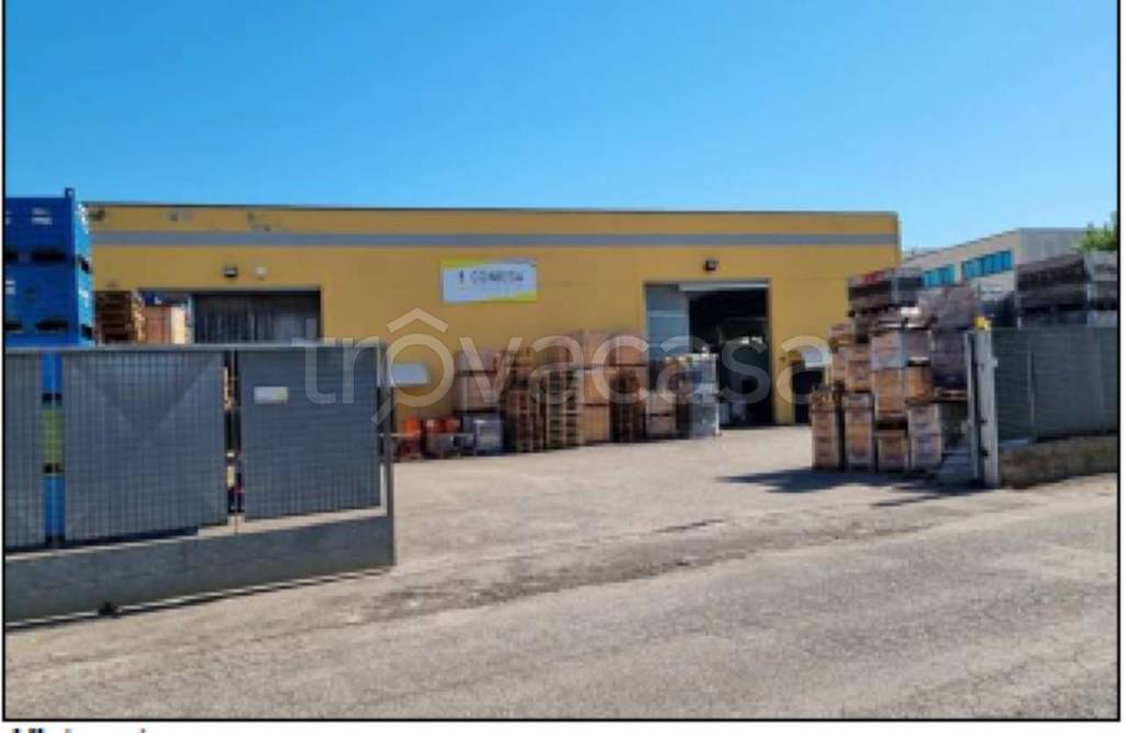 immagine annuncio 1 di 6