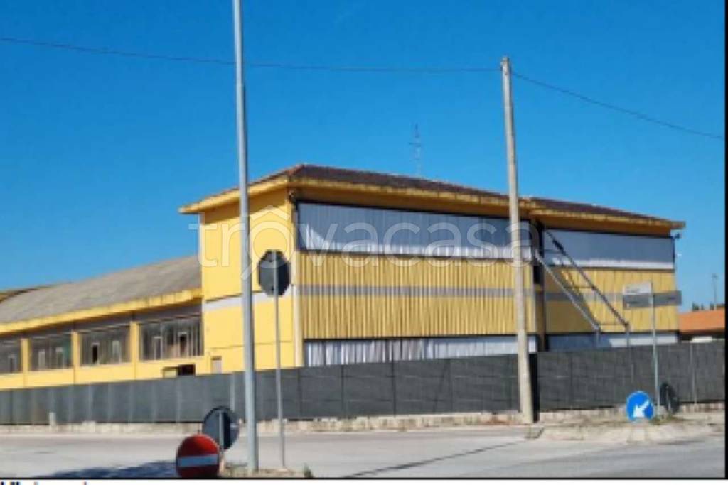 immagine annuncio 2 di 6