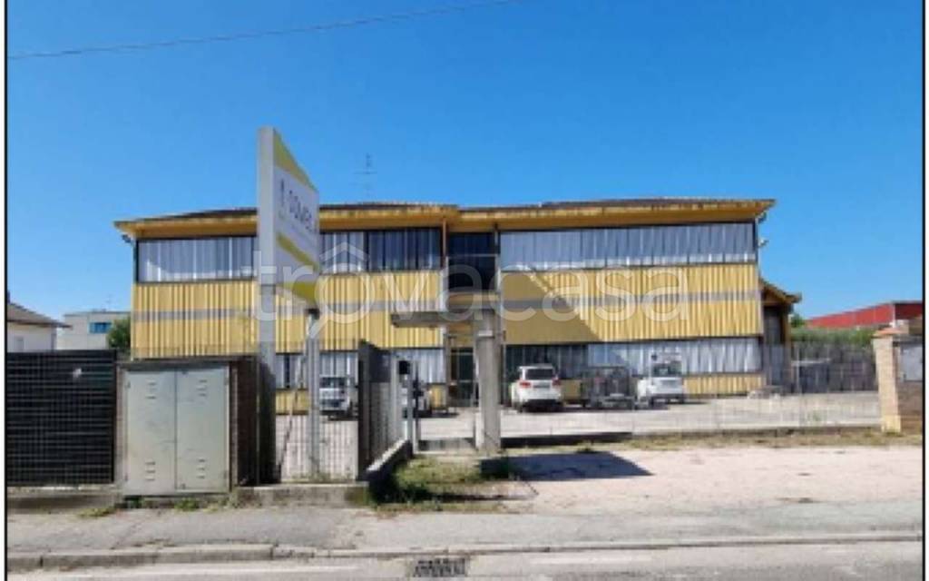 immagine annuncio 3 di 6